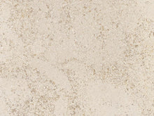 Load image into Gallery viewer, Capital 54" Bellingham Corinthian Stone Mantel - Interstyle