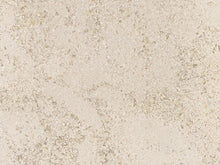 Load image into Gallery viewer, Capital 44" Mentmore Corinthian Stone Mantel - Interstyle